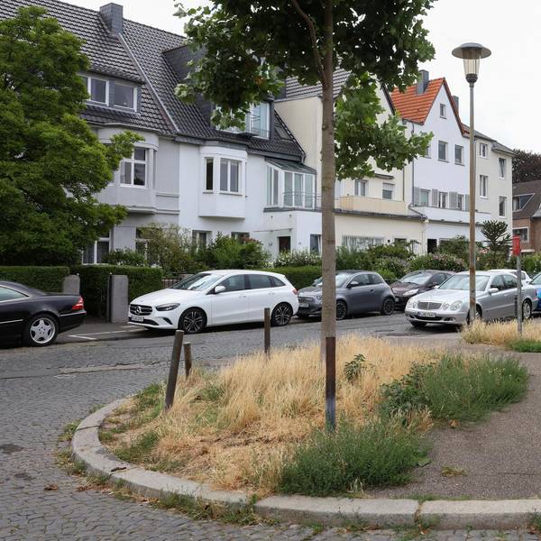 Neuer Inhalt (3)