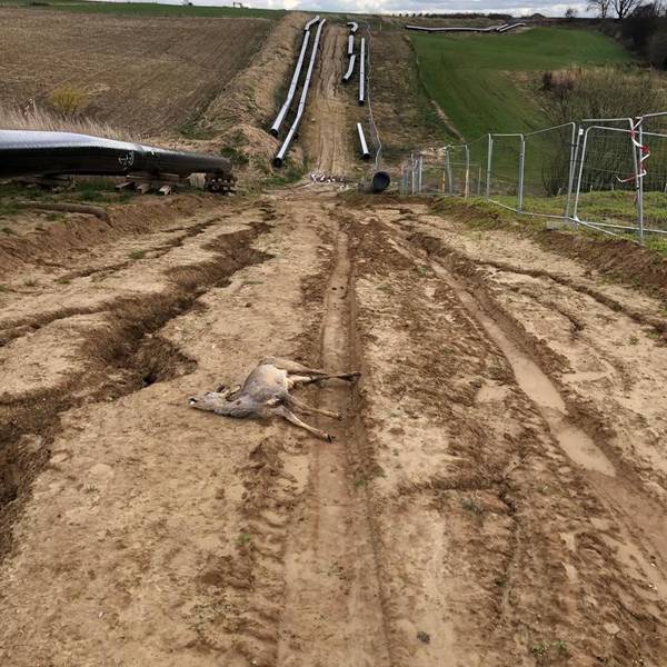 LE-RehAufPipelinetrasse