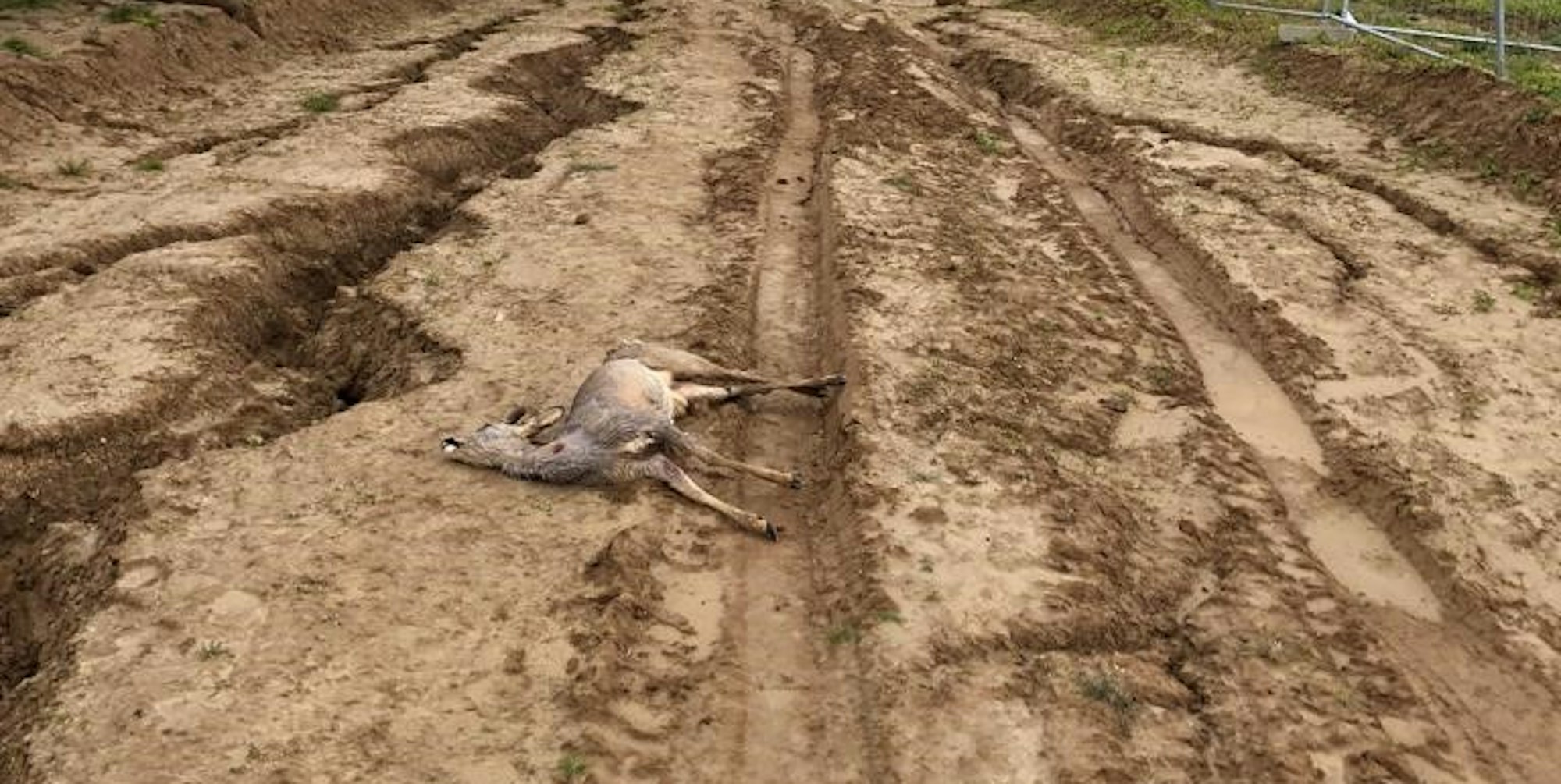 LE-RehAufPipelinetrasse