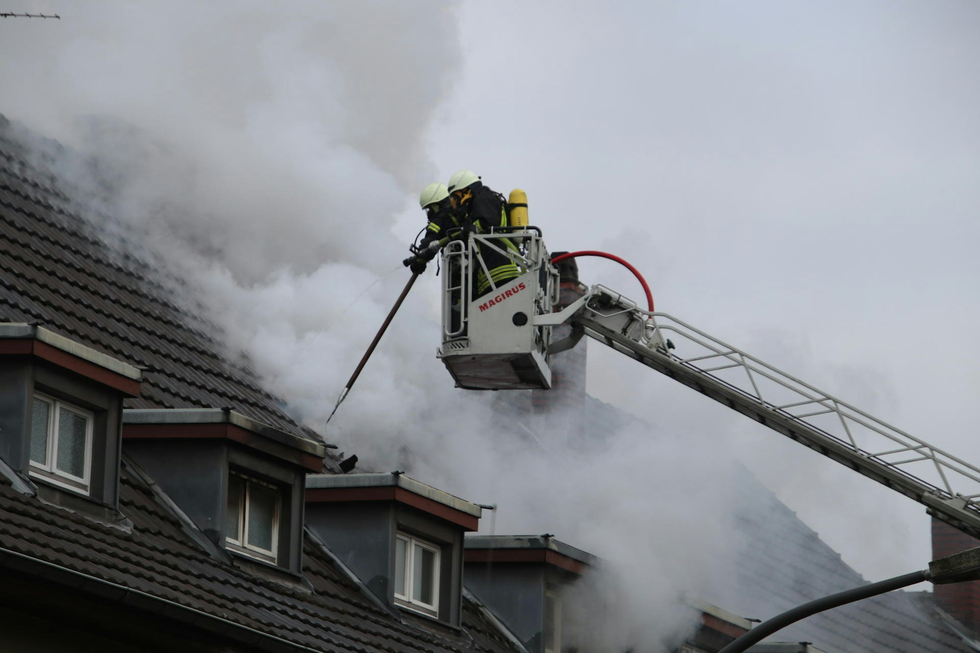 Feuer Dünnwald 1 Jasmin