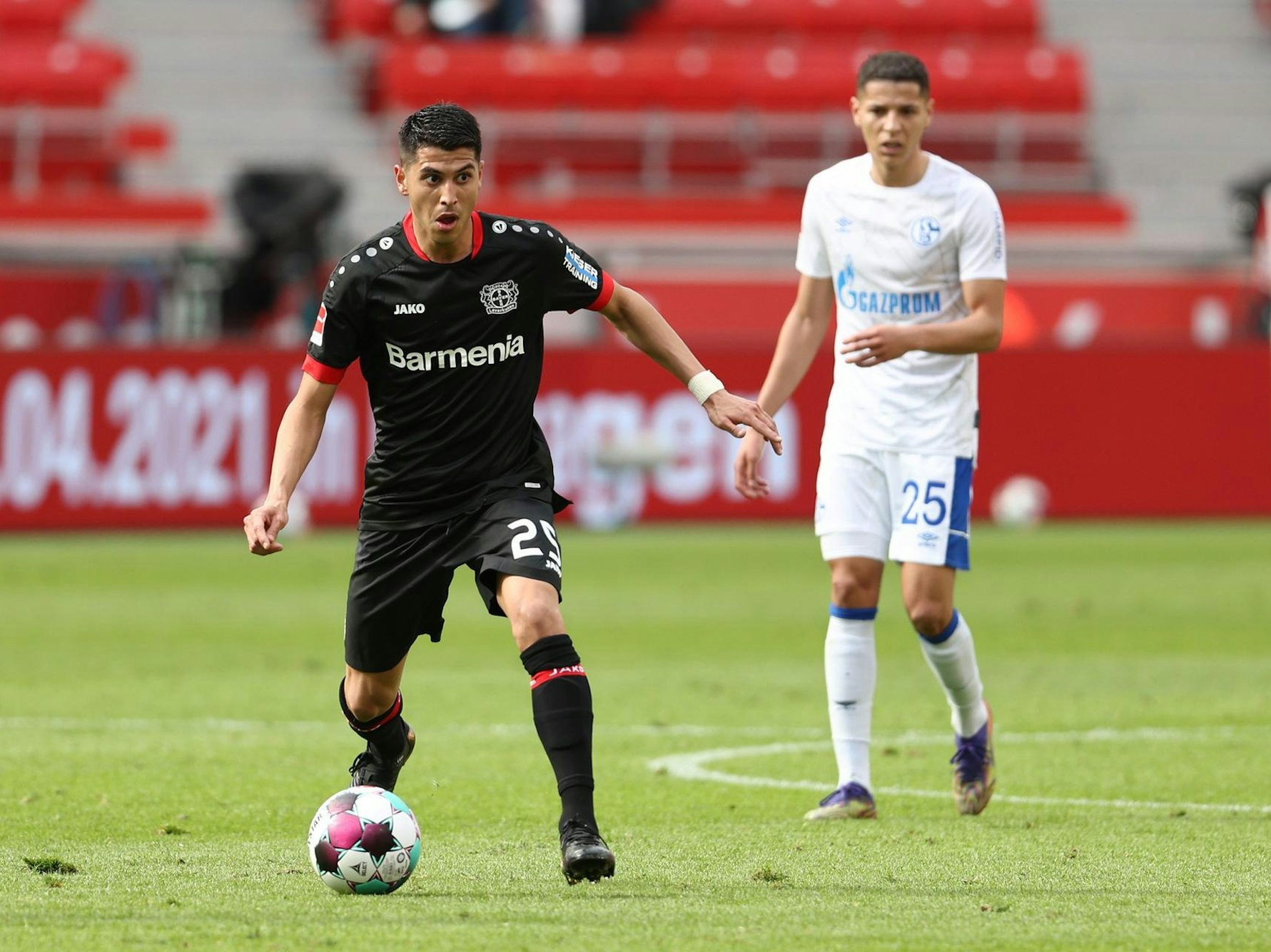 Palacios Bayer