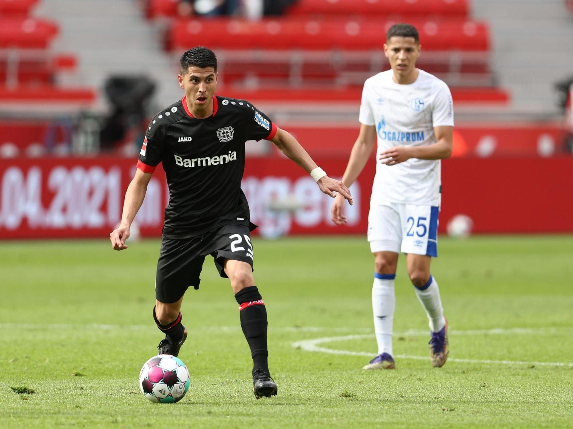 Palacios Bayer