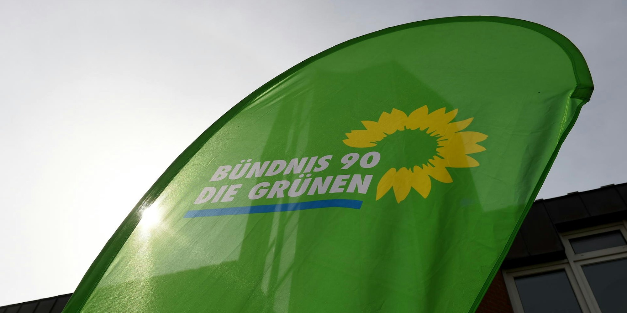 grüne parteilogo symbol 060921