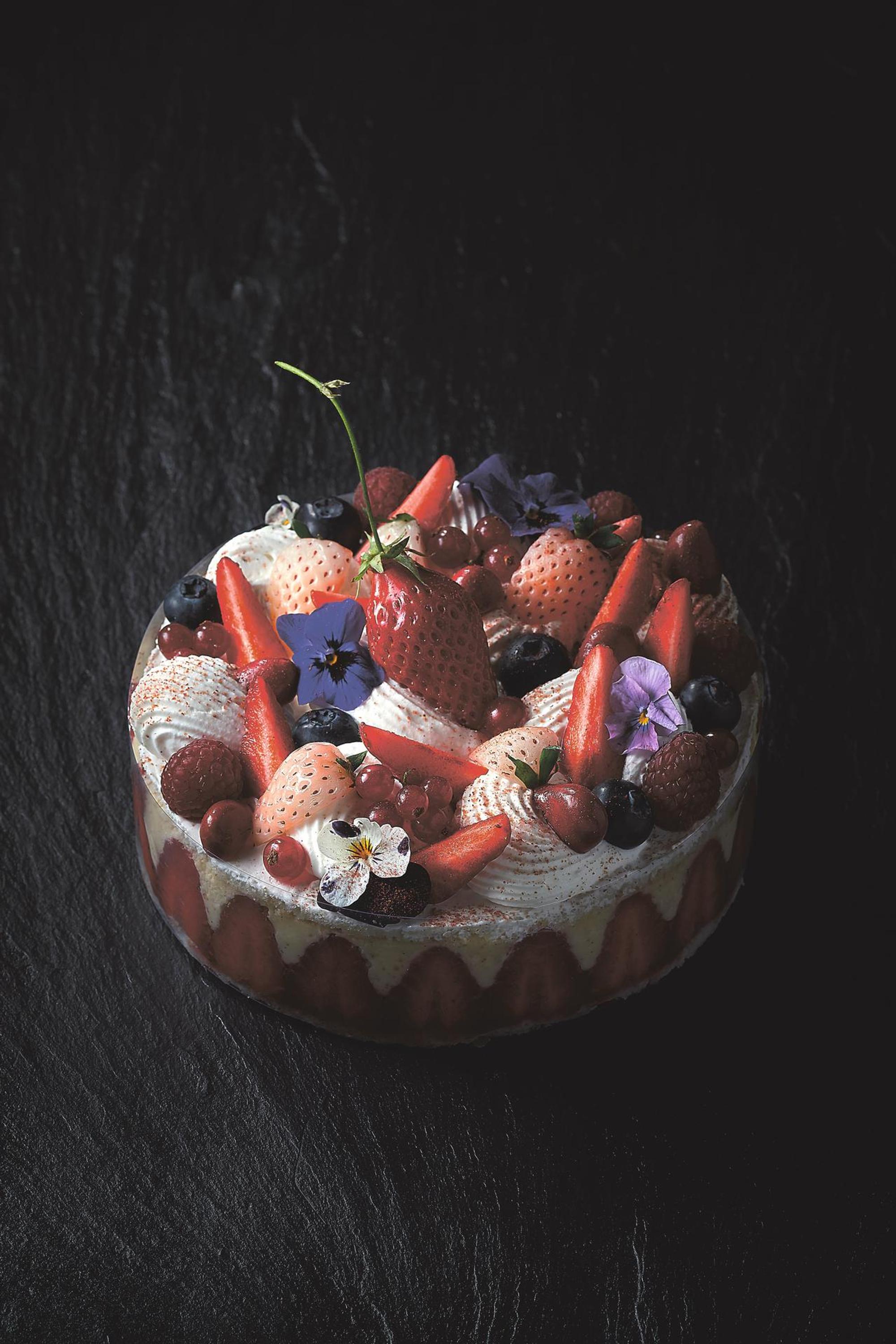 torte bunt