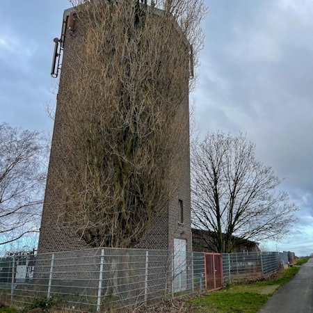 20220207-nip-ber-wasserturm-glessen-1