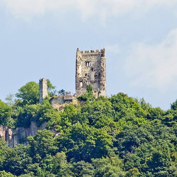 Burgruine Drachenfels