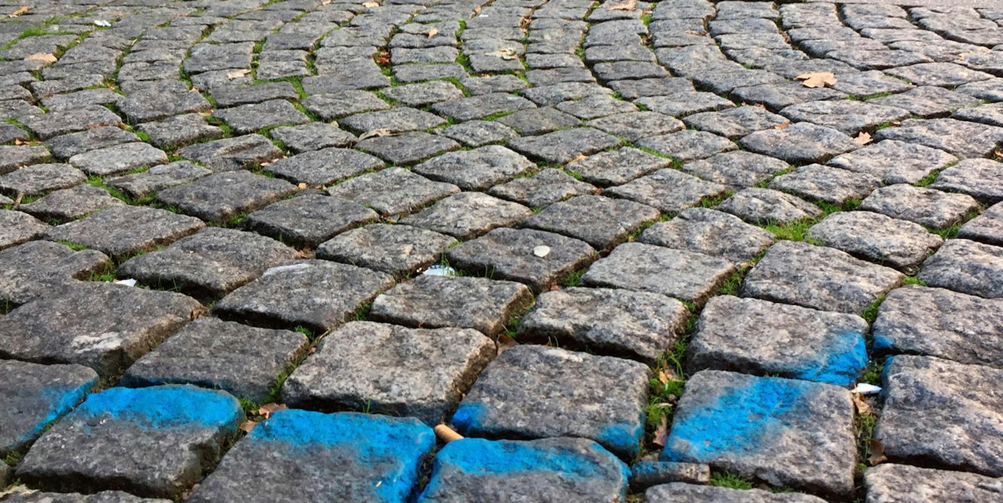 Neuer Inhalt (1)