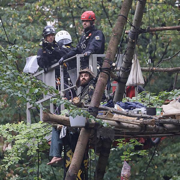 hambacher-forst-hoehenretter