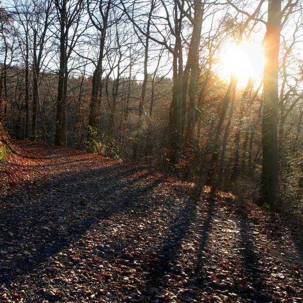 Wanderung Rheinsieg Winter Archiv