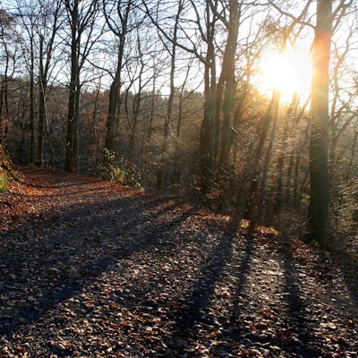 Wanderung Rheinsieg Winter Archiv