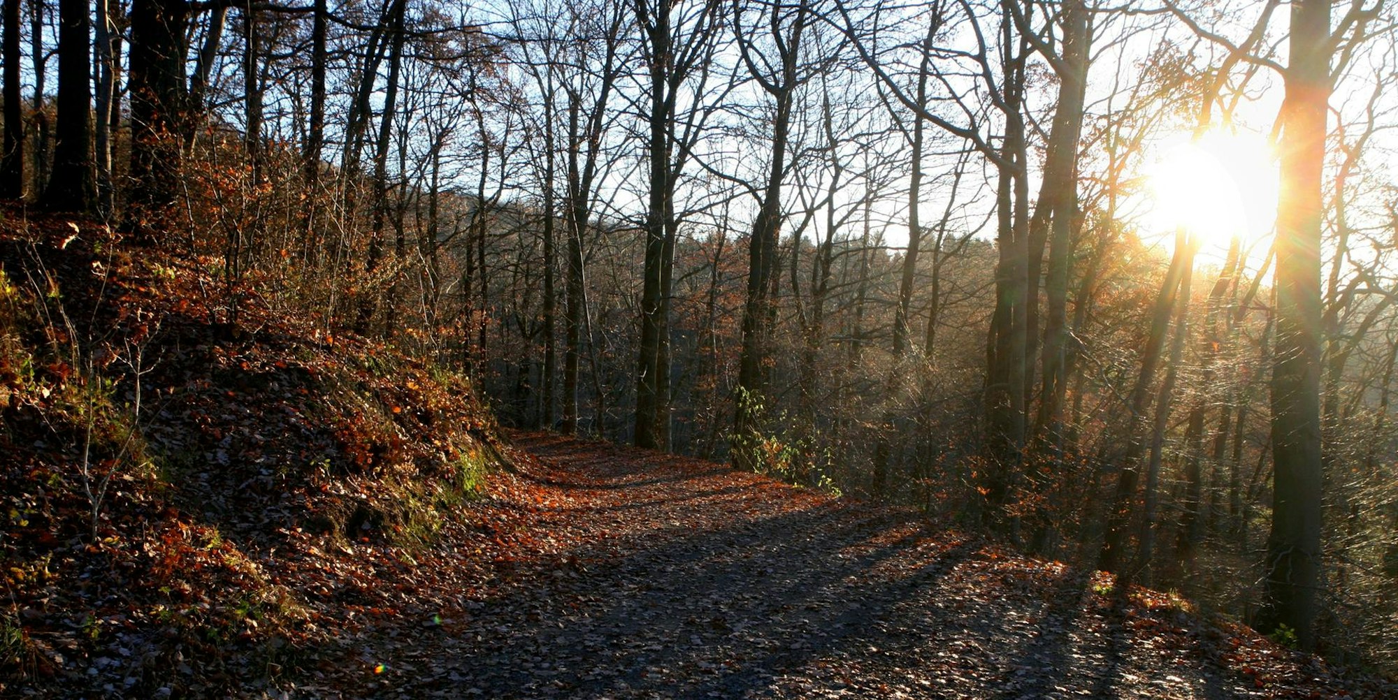 Wanderung Rheinsieg Winter Archiv