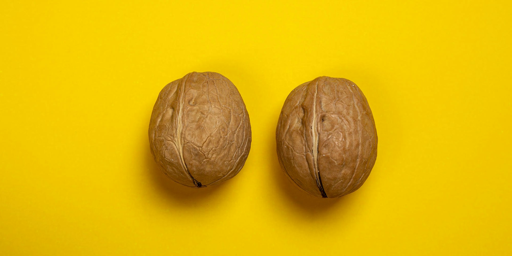 Walnüsse Symbolbild Hoden