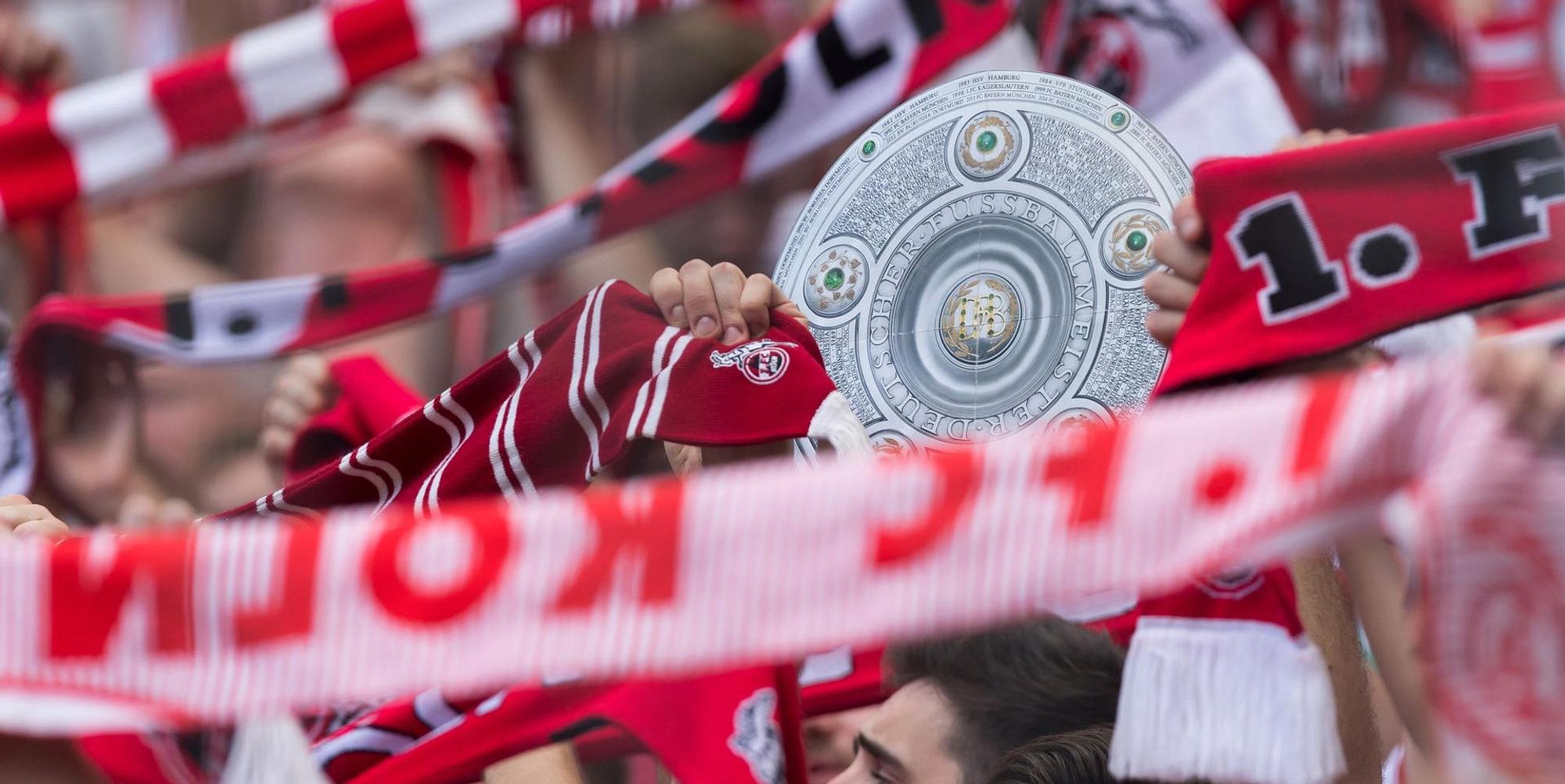 Neuer Inhalt