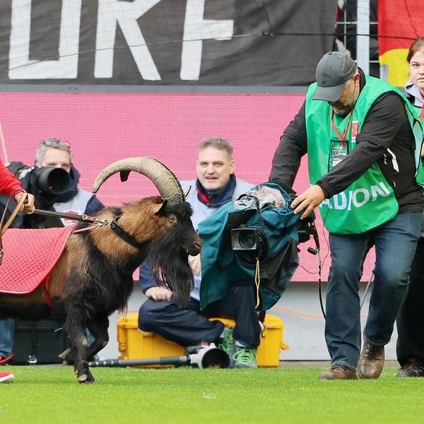 Neuer Inhalt