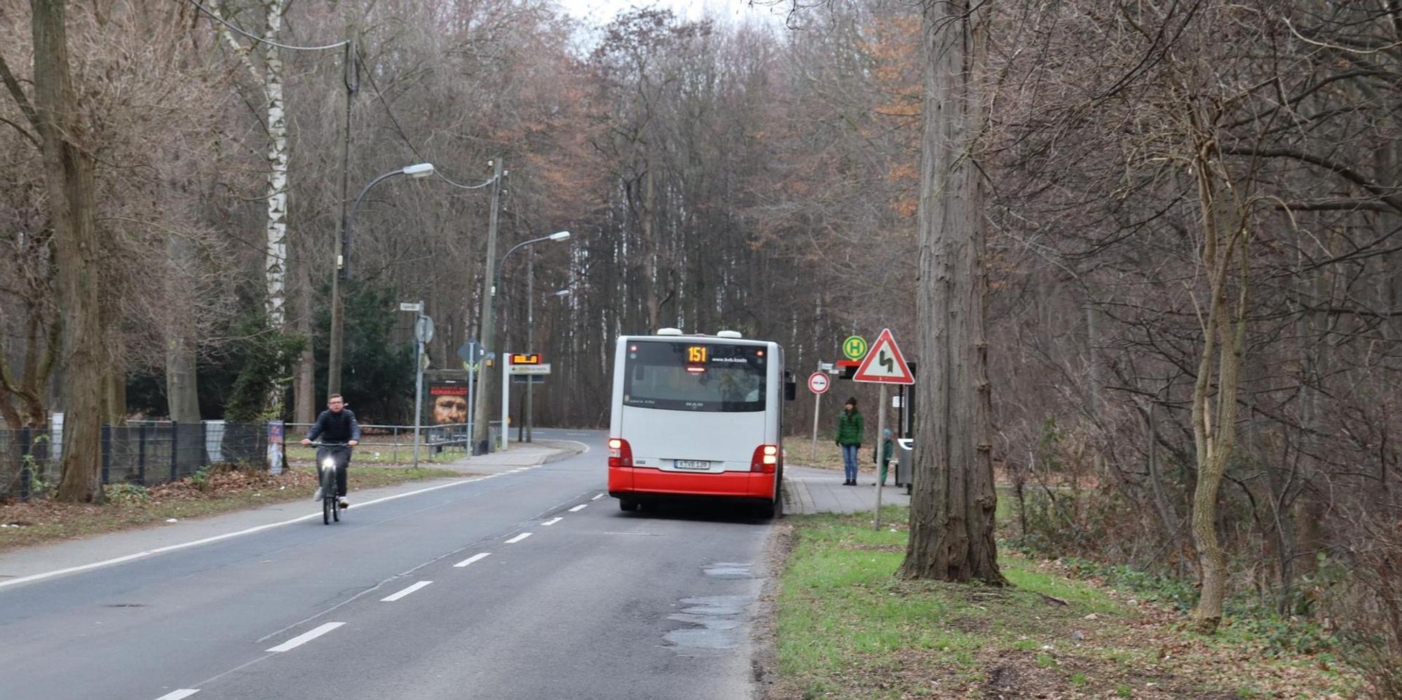 aef-stammheimer-ring-4