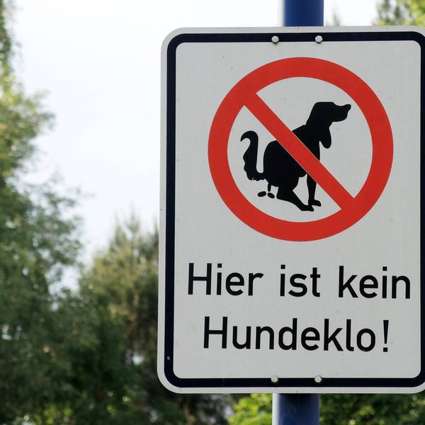 Hundeklo