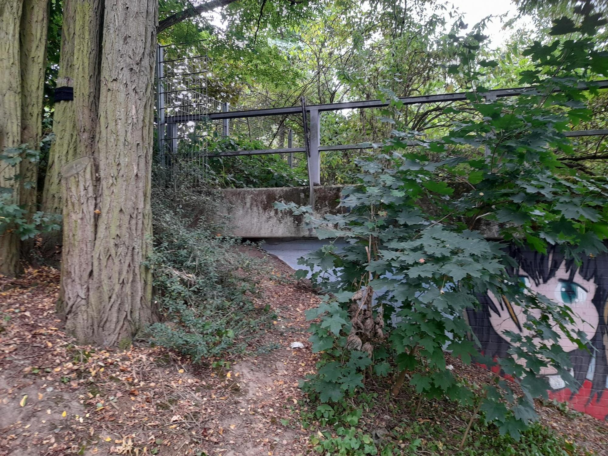 bes-gleisbruecke01