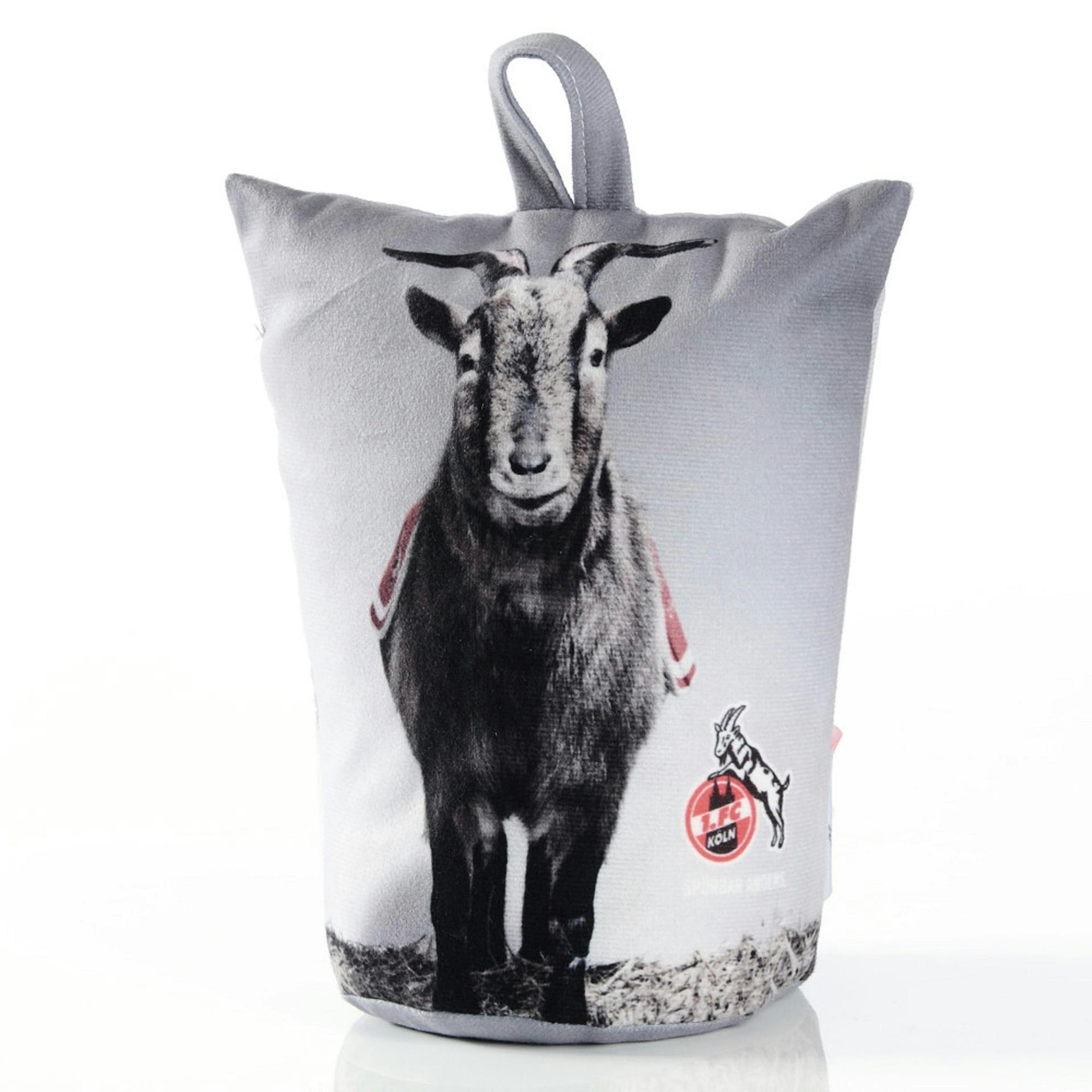 1_FC_Koeln_Tuerstopper_Hennes_I