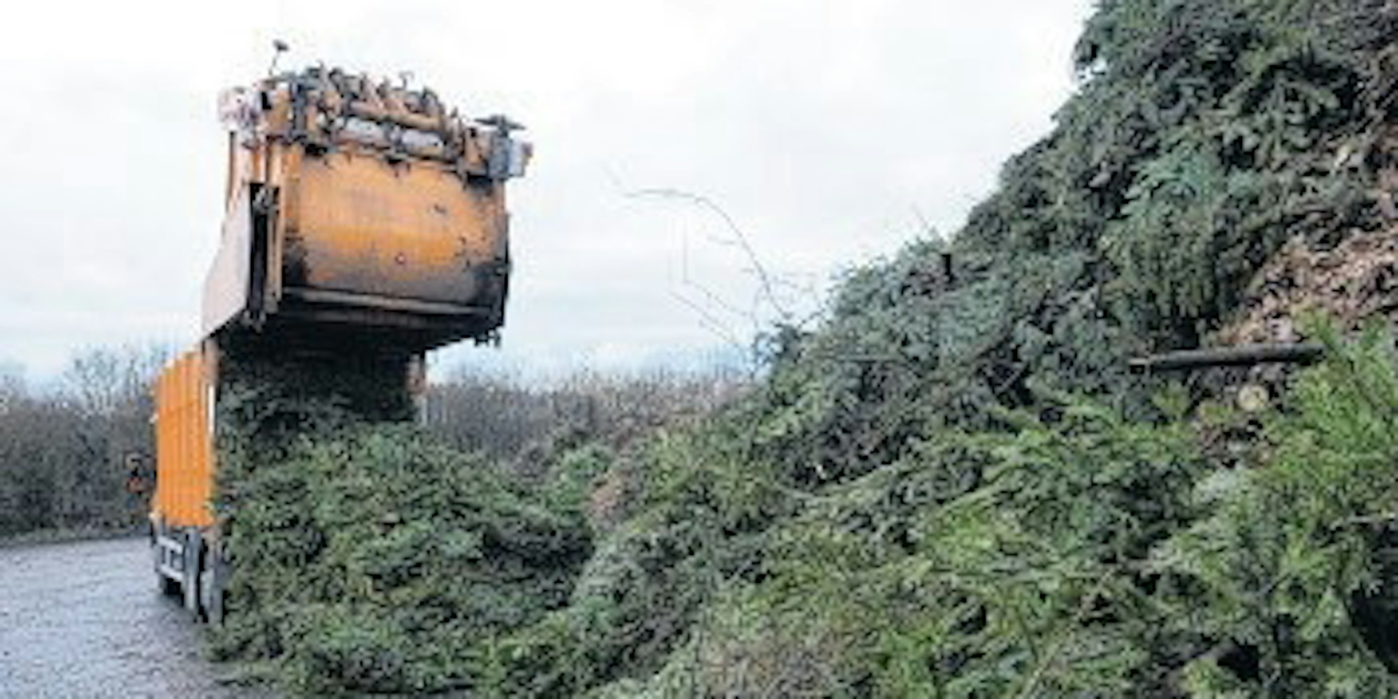 Nonnenbroich_Birkerhof