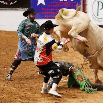 Rodeo Bulle Symbolbild