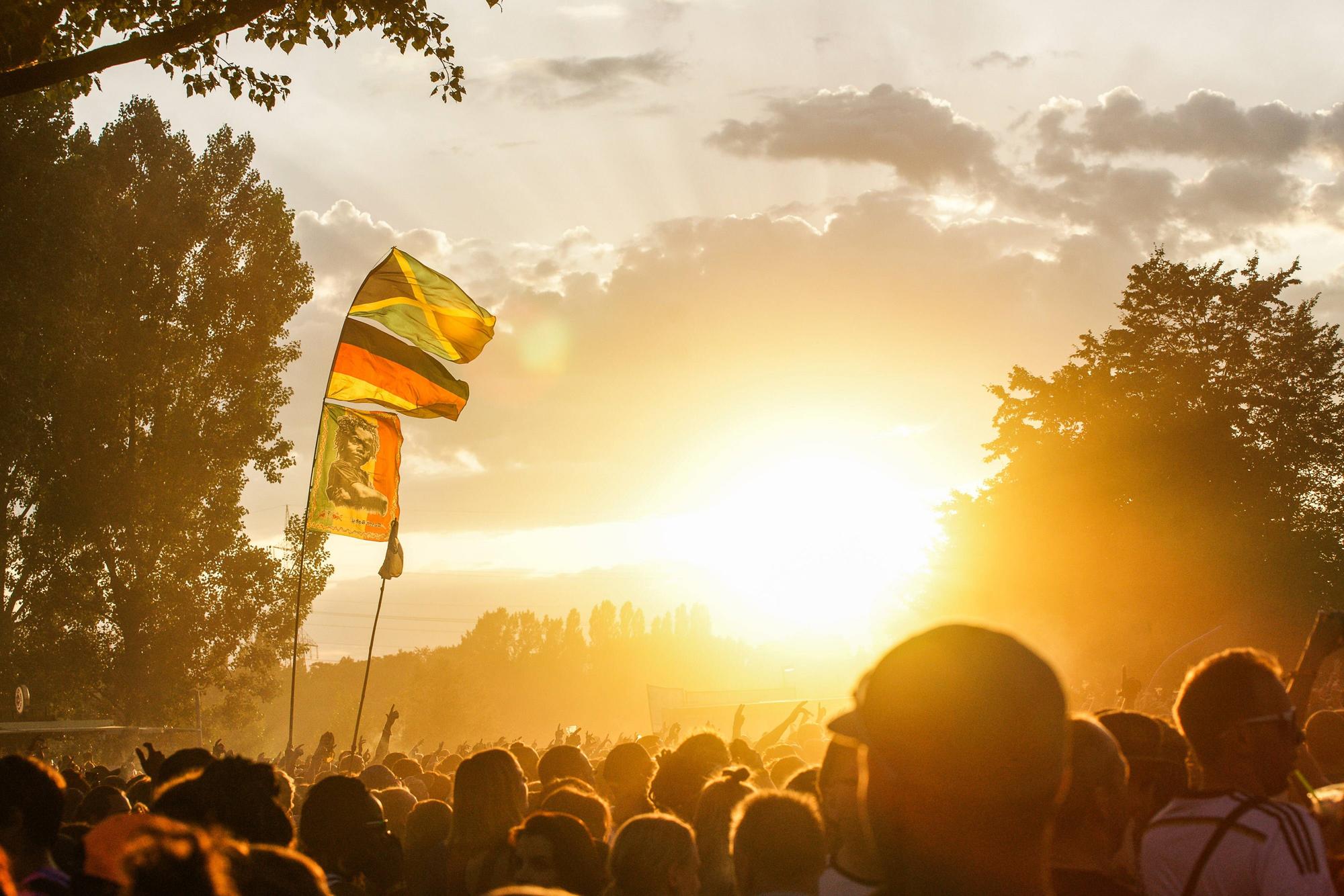Summerjam imago Manngold61805787h