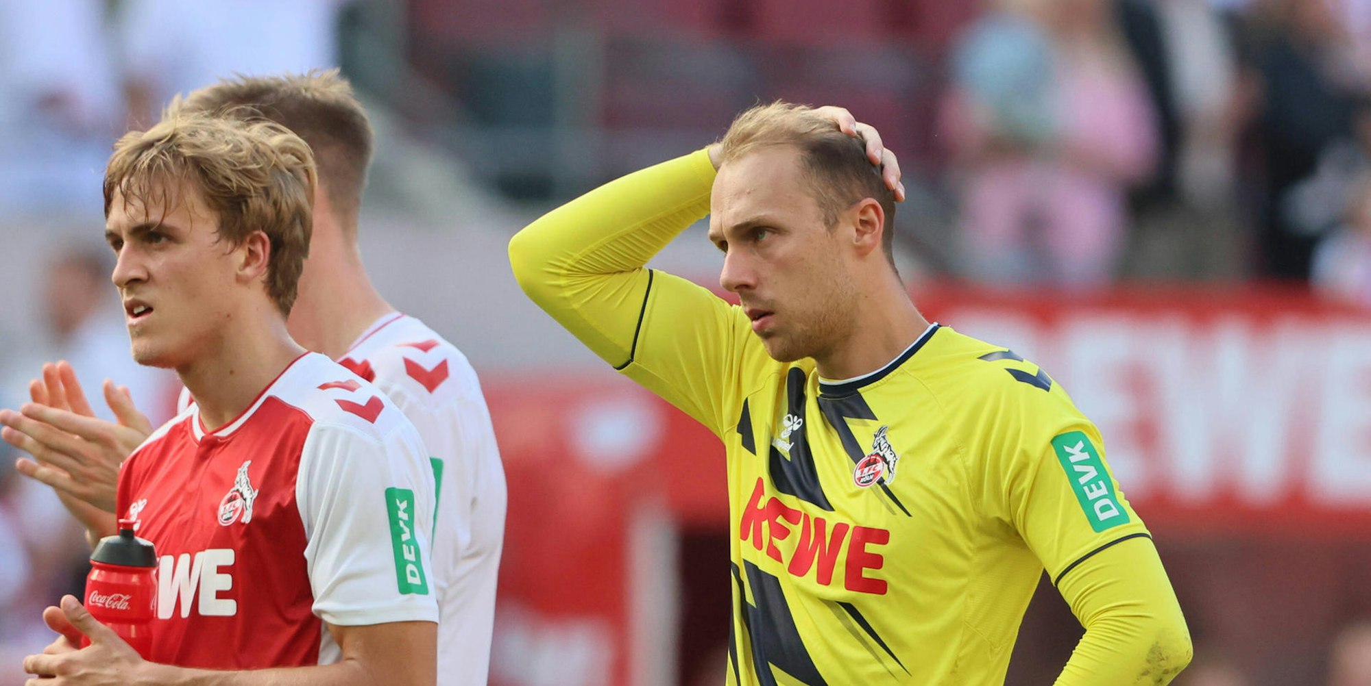 Schwäbe und Hübers