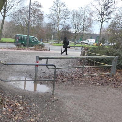 roes-draengelgitter-003