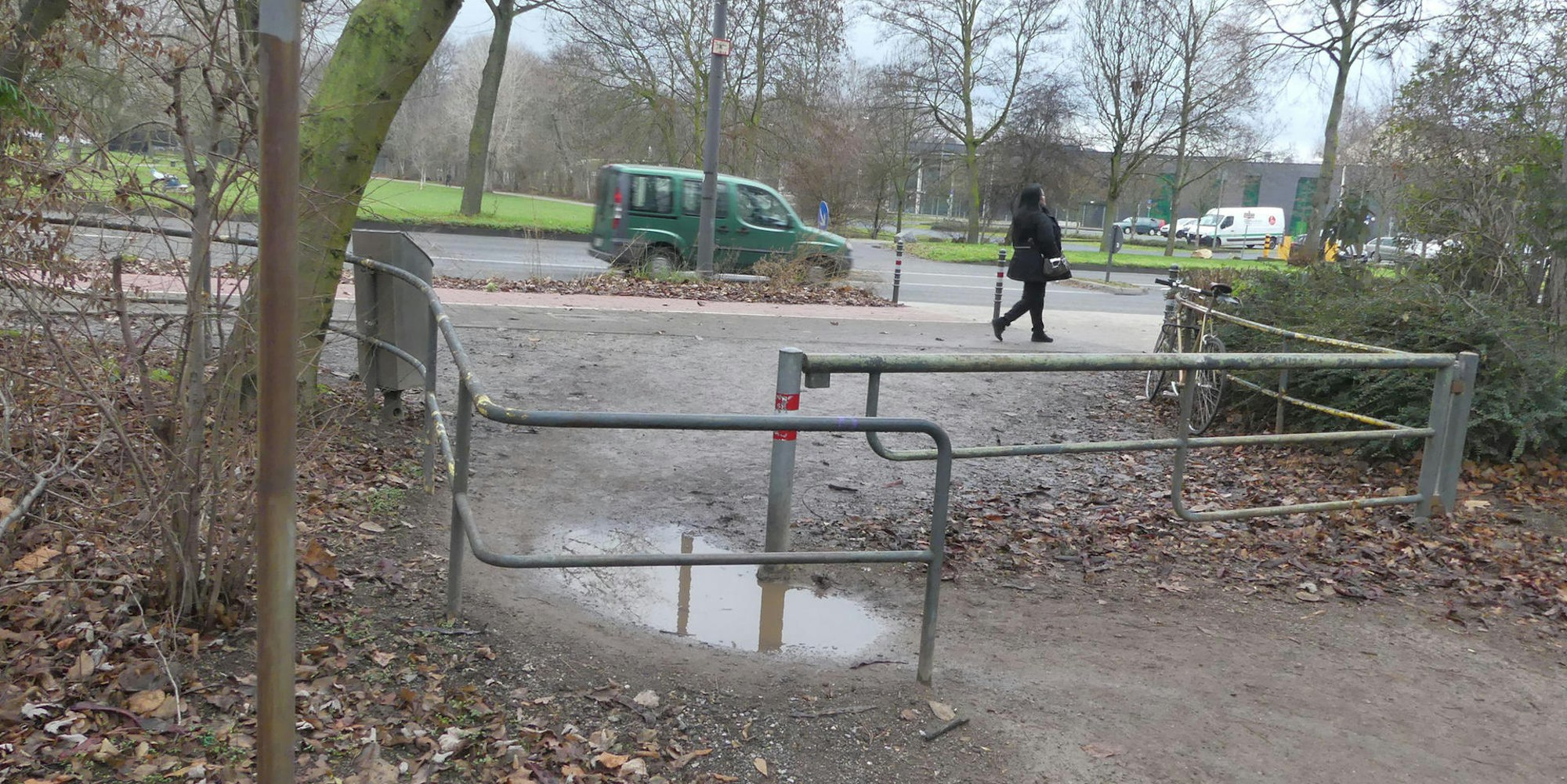 roes-draengelgitter-003