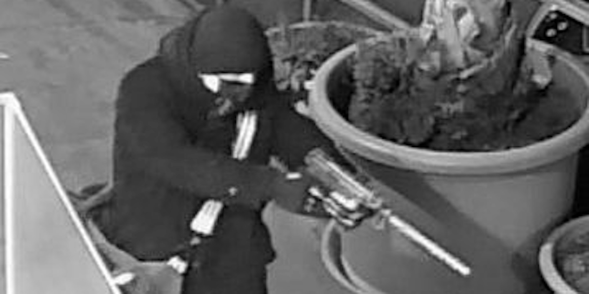 Tatverdächtiger_30330_10