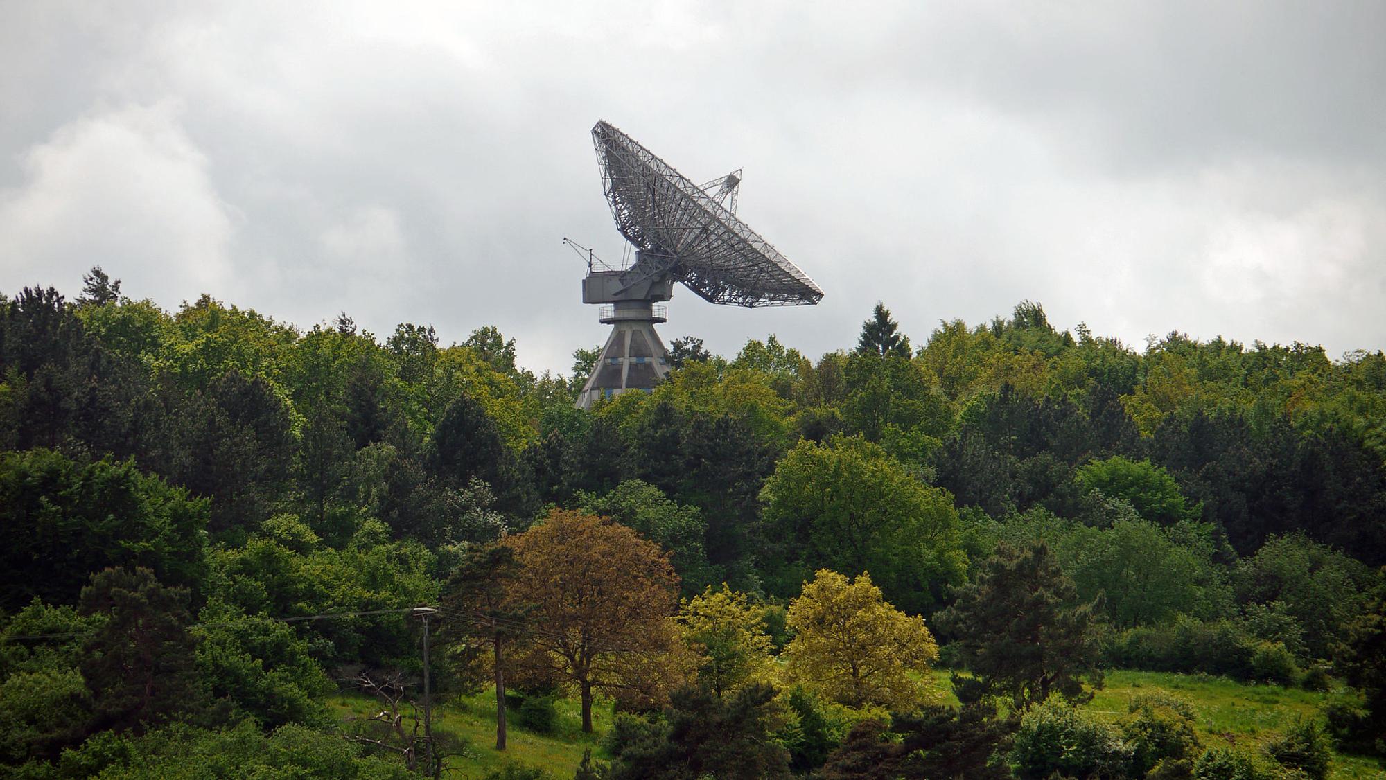 Radioteleskop in einem grünen Wald