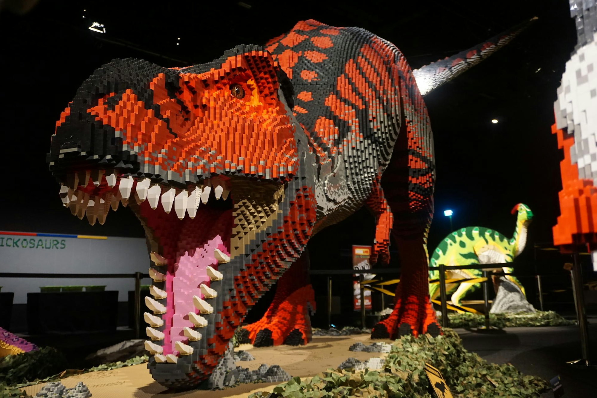 DSC02047