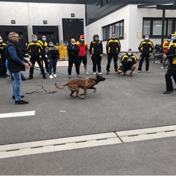 Hundetrainig_DeutschePost