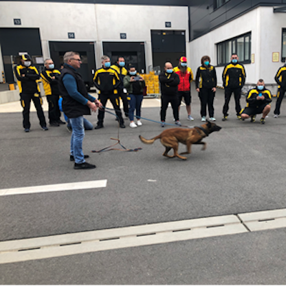 Hundetrainig_DeutschePost