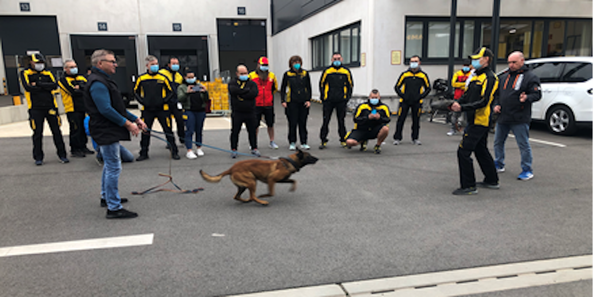 Hundetrainig_DeutschePost