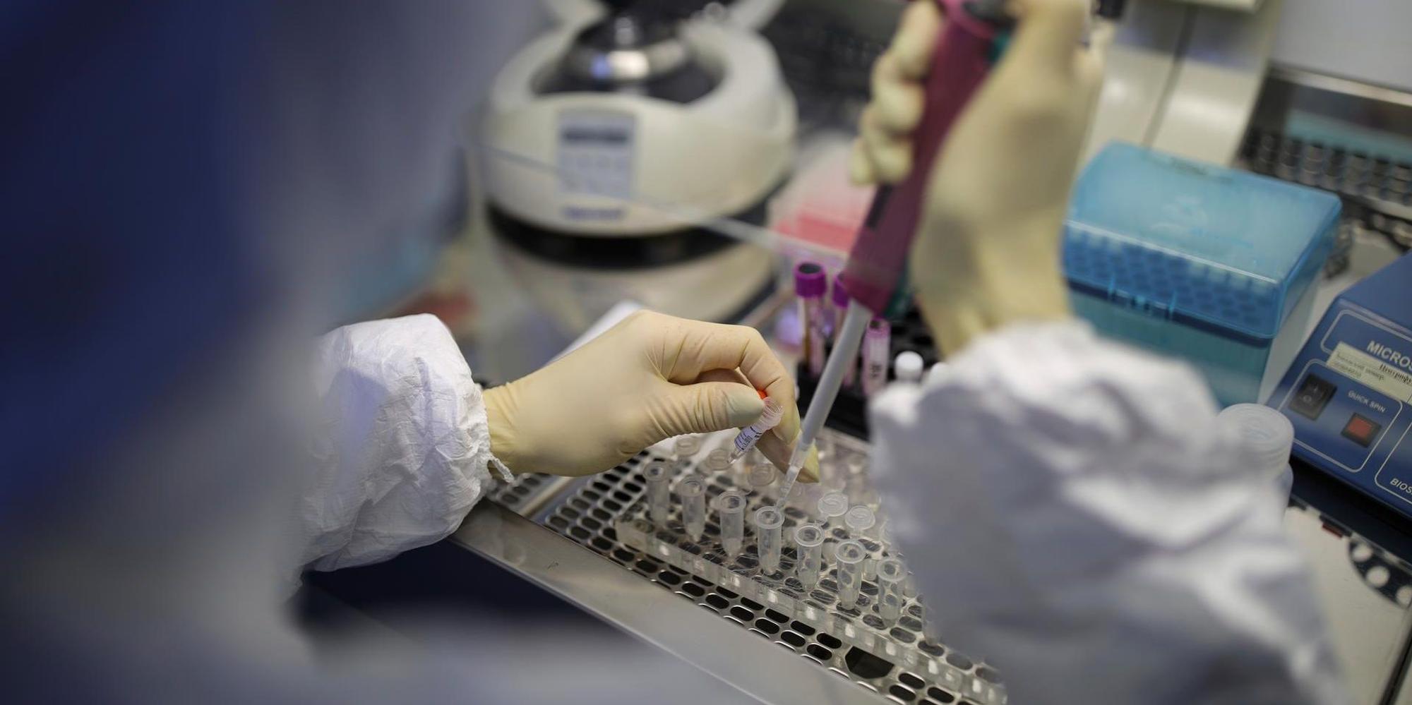 Coronavirus Labor