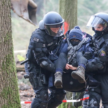 Dannenröder Forst (1)