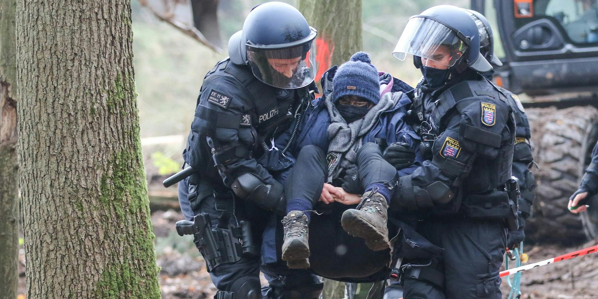 Dannenröder Forst (1)