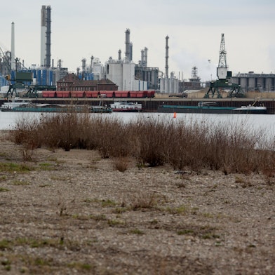 MDS-KSTA-2019-08-21-71-151278458