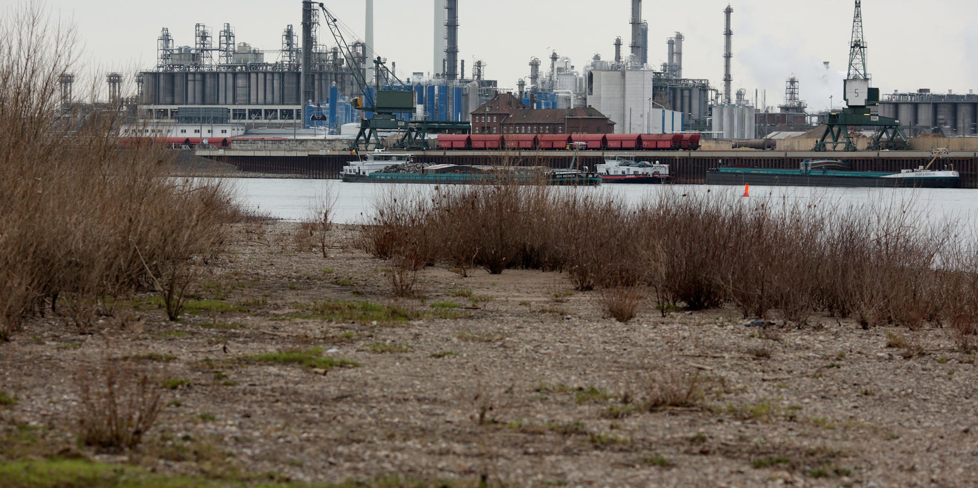 MDS-KSTA-2019-08-21-71-151278458