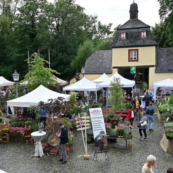 Rosenfest Rösrath 090821