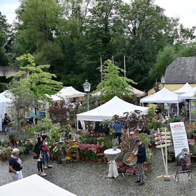 Rosenfest Rösrath 090821