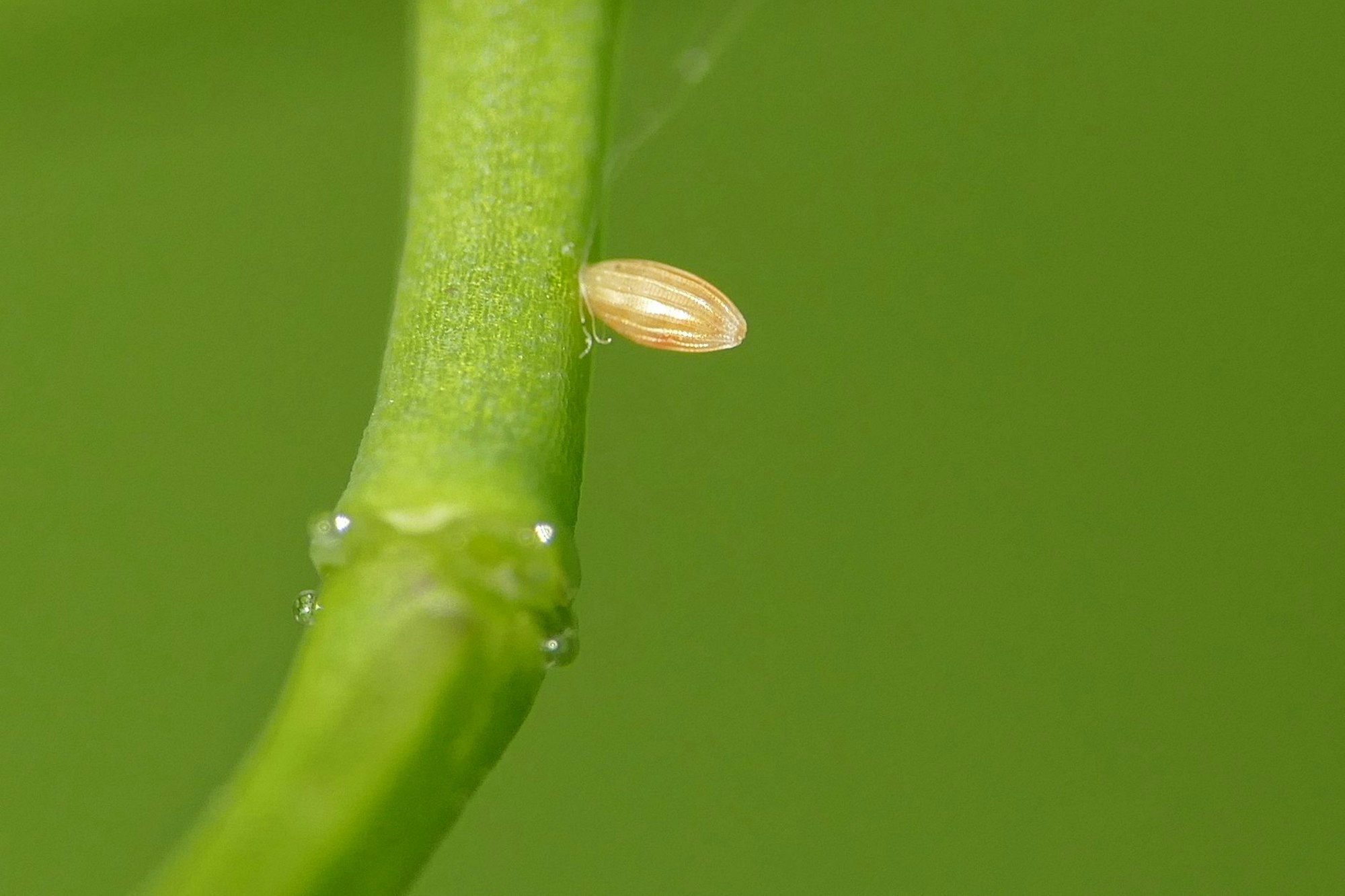 MDS-KSTA-2019-05-16-71-147384575