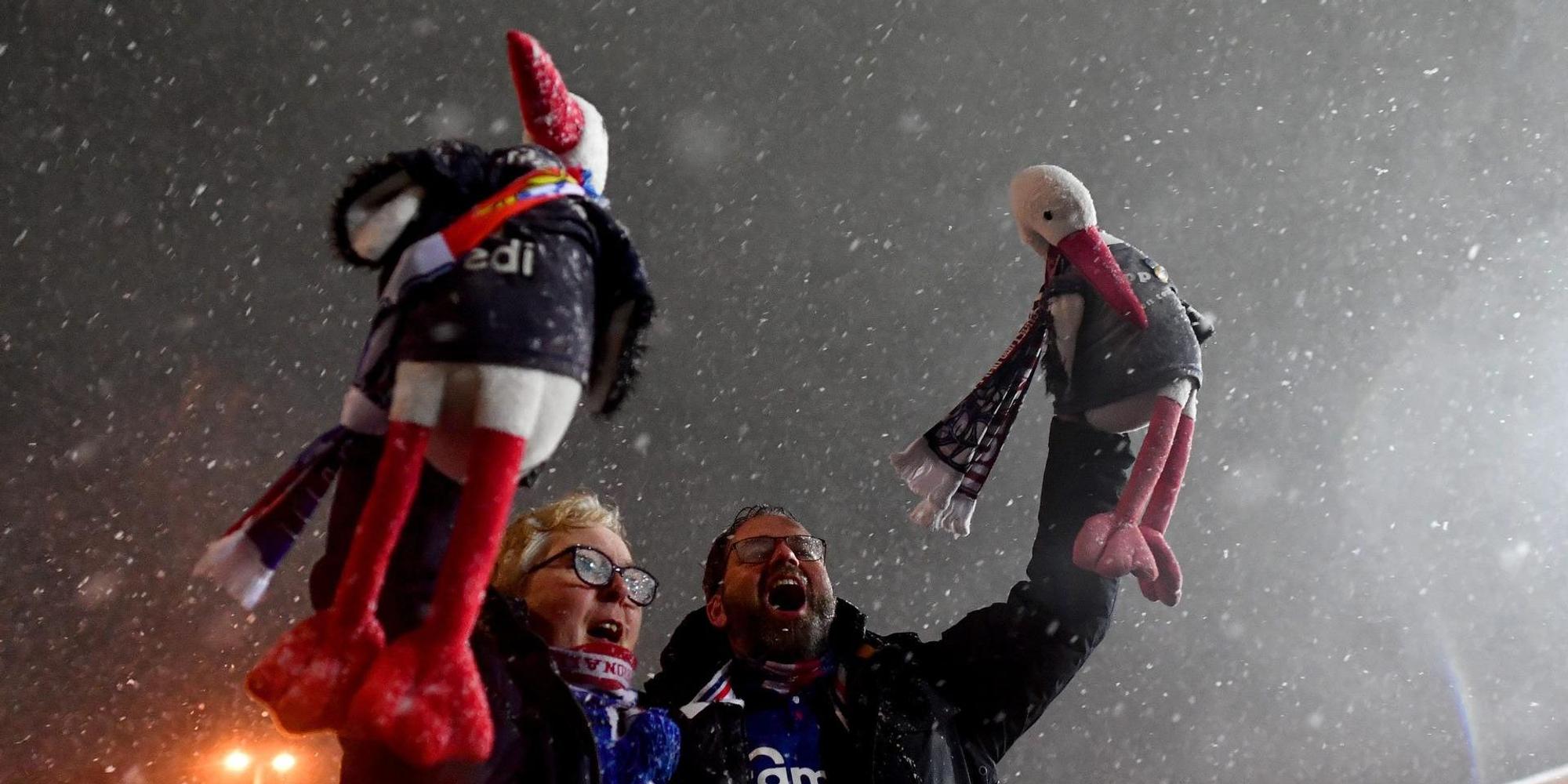 Holstein Kiel Fans