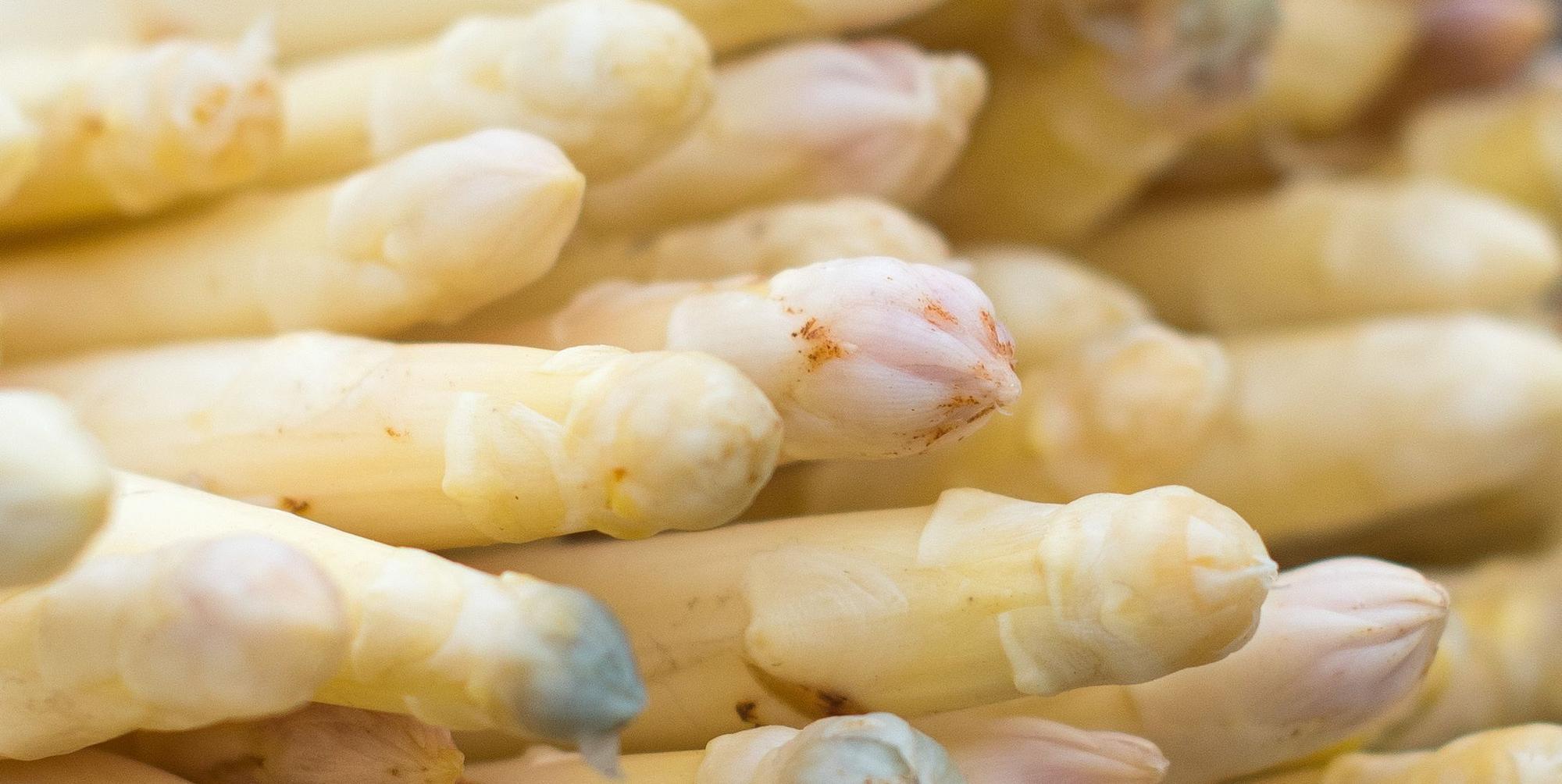 Spargel