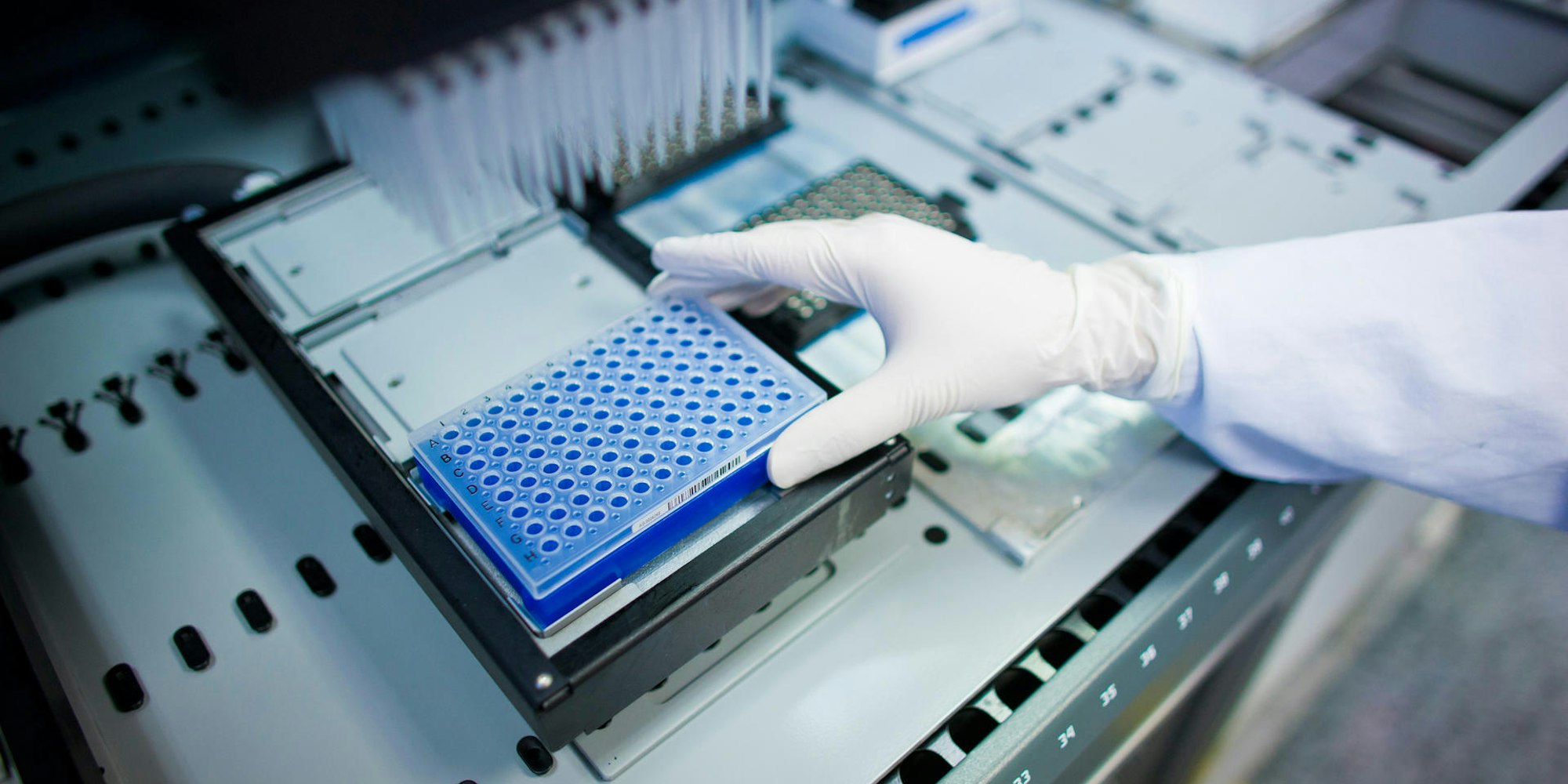 Stammzellspende_Symbol_dpa