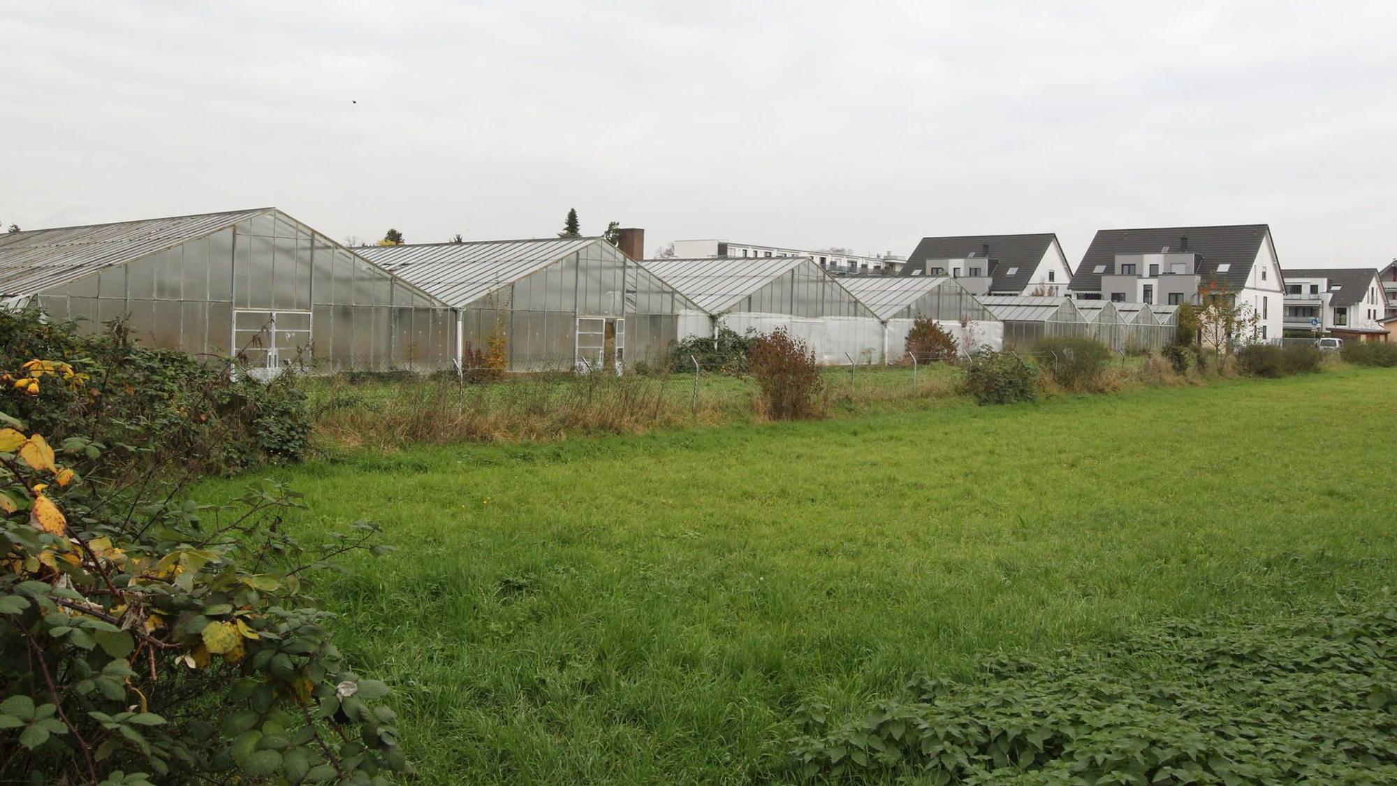 Große Gewächshäuser auf einem Feld.