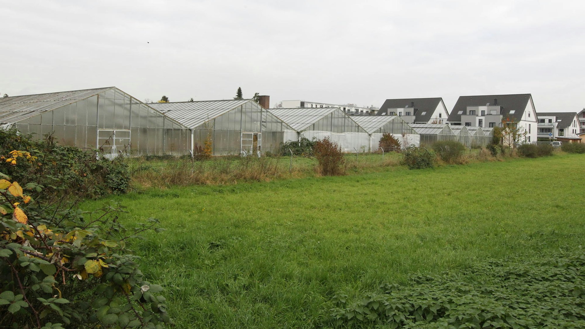 Große Gewächshäuser auf einem Feld.