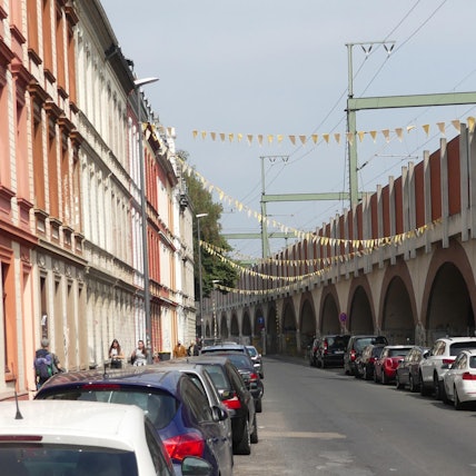 roes-BV-ankuend-Ef-005