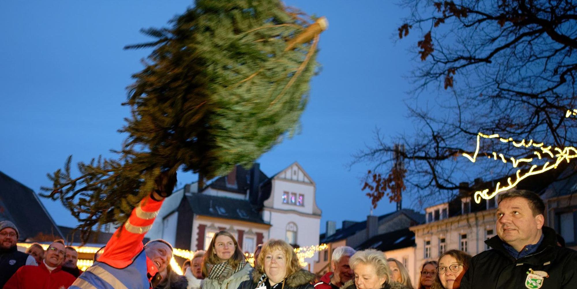 Neuer Inhalt (2)