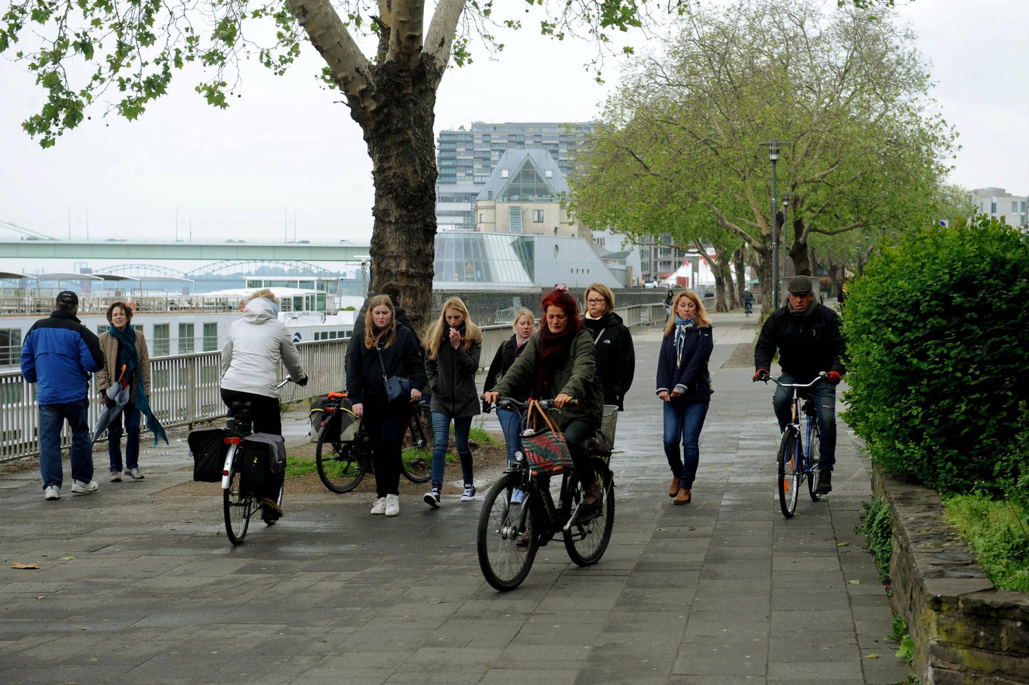 Radfahrer Rhein
